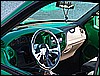 046_46.JPG
