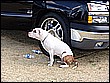 DSC03498.JPG