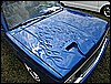 IMG_3434.jpg