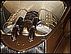 SEMA 164.jpg