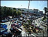 SEMA 702.jpg