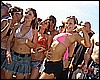 SPRINGFLINGj 270.jpg
