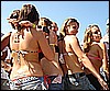 SPRINGFLINGj 288.jpg