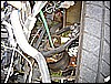 SPRINGFLINGosix 311.jpg