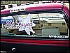 SPRINGFLINGosix 479.jpg
