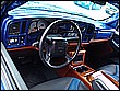 spencive rydes 012.jpg