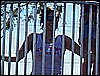 3_26_07 043.jpg