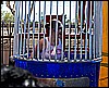 3_26_07 044.jpg