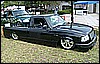 SENATS07S7300945.JPG