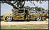 STC07085.JPG