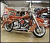 SOUTHEAST SHOWDOWNS7302609.JPG