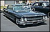 SOUTHEAST SHOWDOWNS7302633.JPG