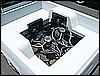 SOUTHEAST SHOWDOWNS7302651.JPG