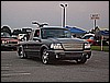 SOUTHEAST SHOWDOWNS7302737.JPG