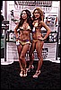 SEMA07DSC01312.JPG