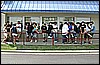 SOUTHEAST SHOWDOWNSES 07 223.jpg