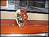 SOUTHEAST SHOWDOWNSES 07 335.jpg