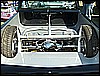 SPRINGFLING08S7304466.JPG